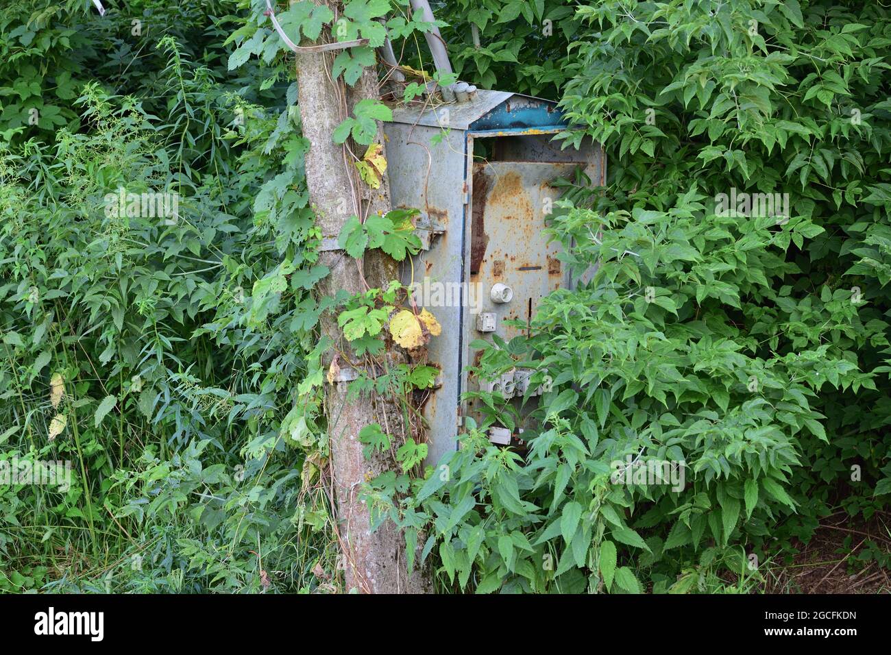 Old power pole disconnected from electricity, insulators and cables. Stock Photo