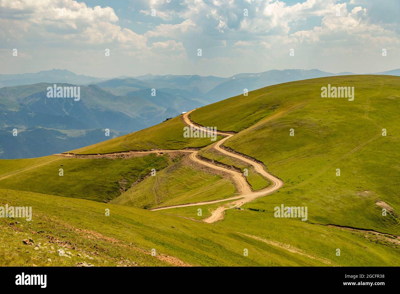 Animals graze in the wonderful highlands of the Black Sea with its green nature, Gumushane, Turkey Stock Photo