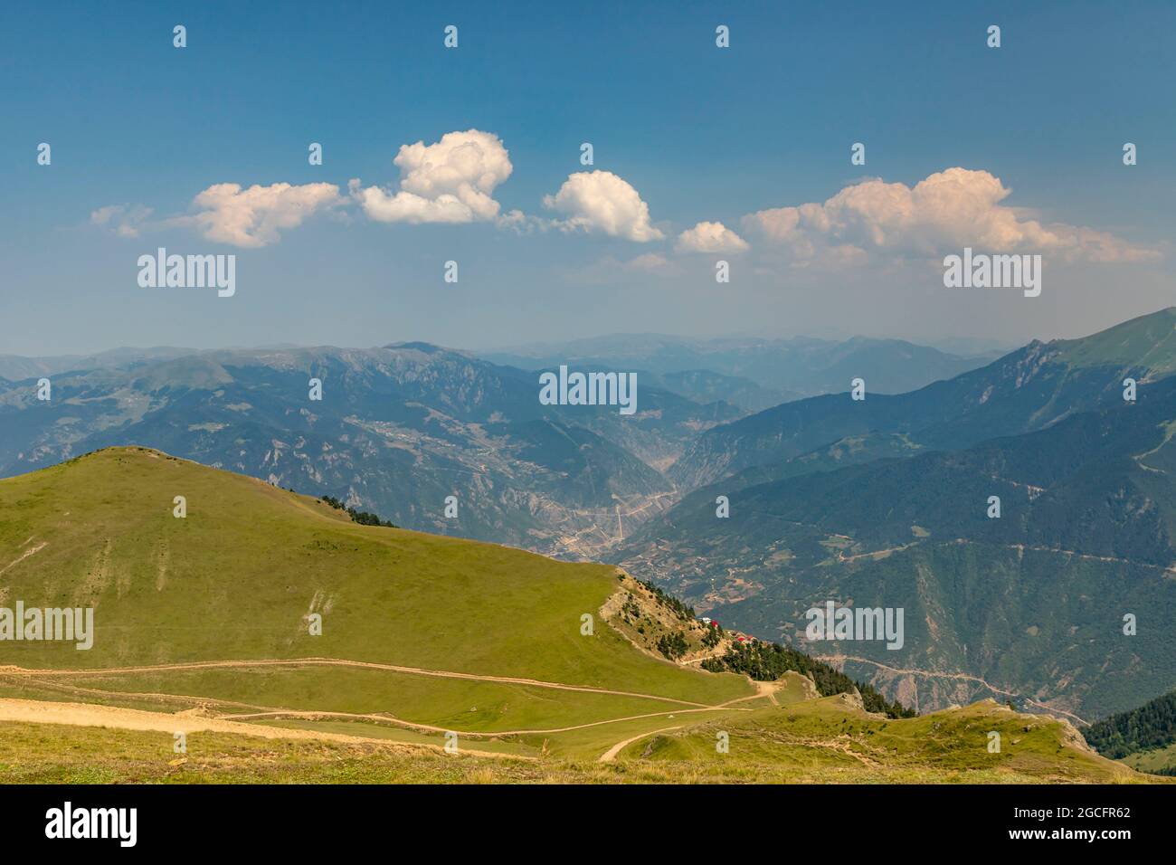 Animals graze in the wonderful highlands of the Black Sea with its green nature, Gumushane, Turkey Stock Photo - Alamy Animals graze in the wonderful highlands of the Black Sea with its green nature, Gumushane, Turkey Stock Photo - Alamy
