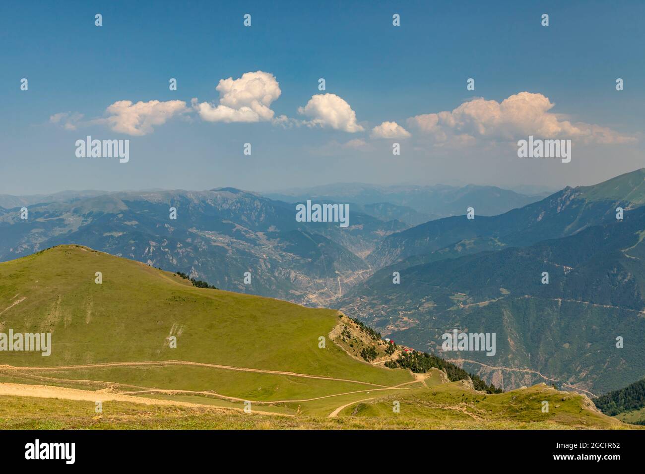 Animals graze in the wonderful highlands of the Black Sea with its green nature, Gumushane, Turkey Stock Photo