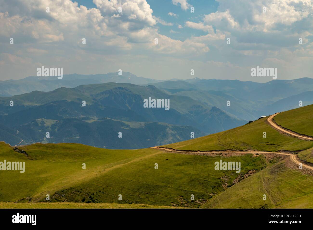 Animals graze in the wonderful highlands of the Black Sea with its green nature, Gumushane, Turkey Stock Photo