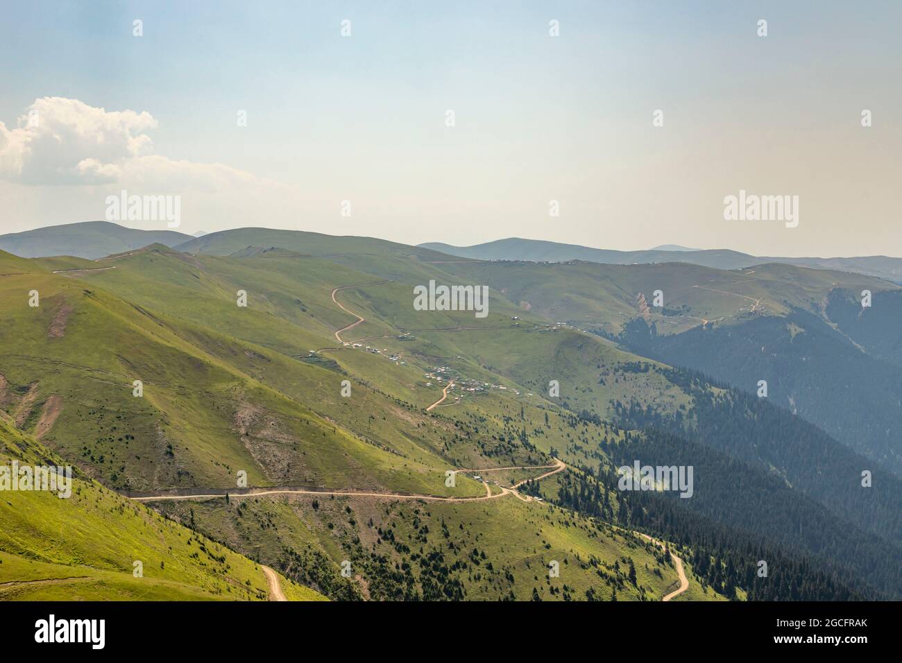 Animals graze in the wonderful highlands of the Black Sea with its green nature, Gumushane, Turkey Stock Photo