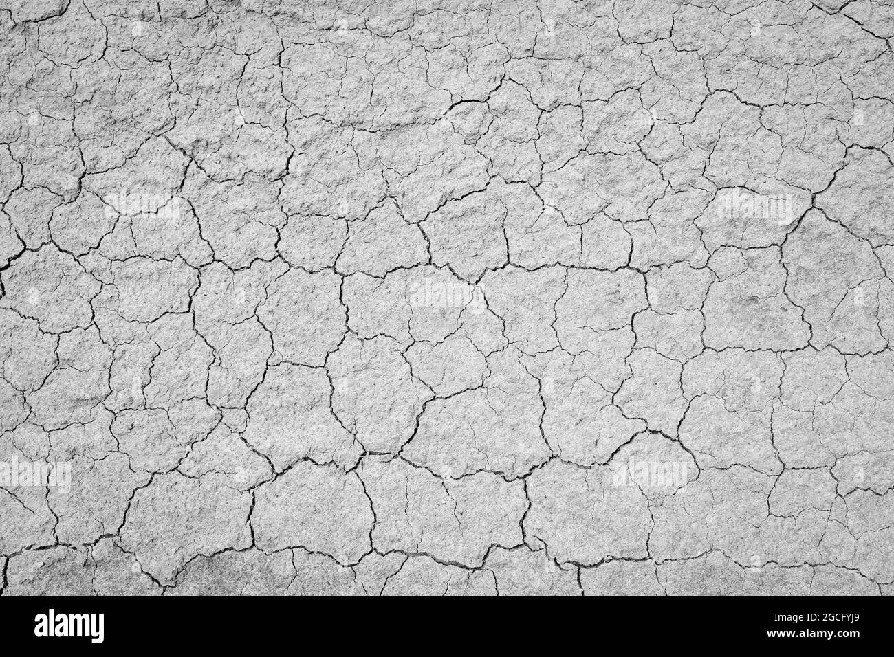 Faded texture of very dry and cracked earth. Drought or lack of water concept. Stock Photo