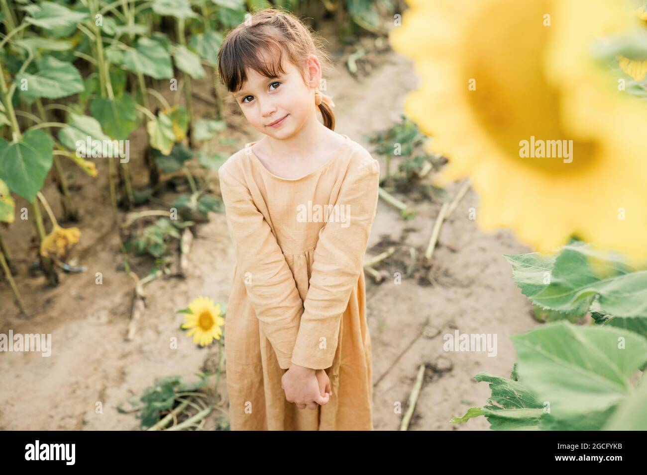 Happy child girl in the field of sunflowers Stock Photo