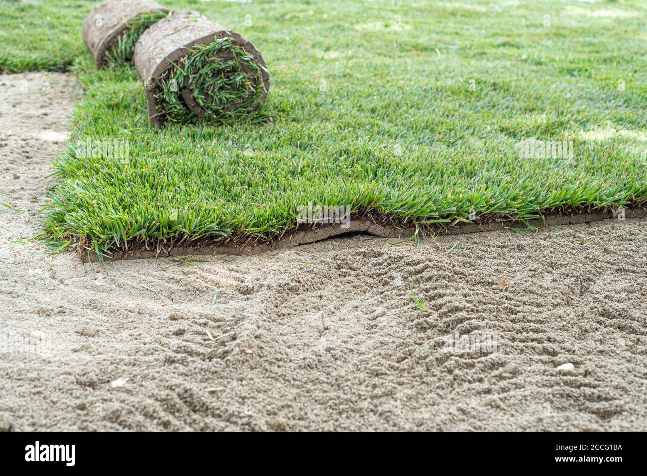Laying of a rolled lawn. Stock Photo