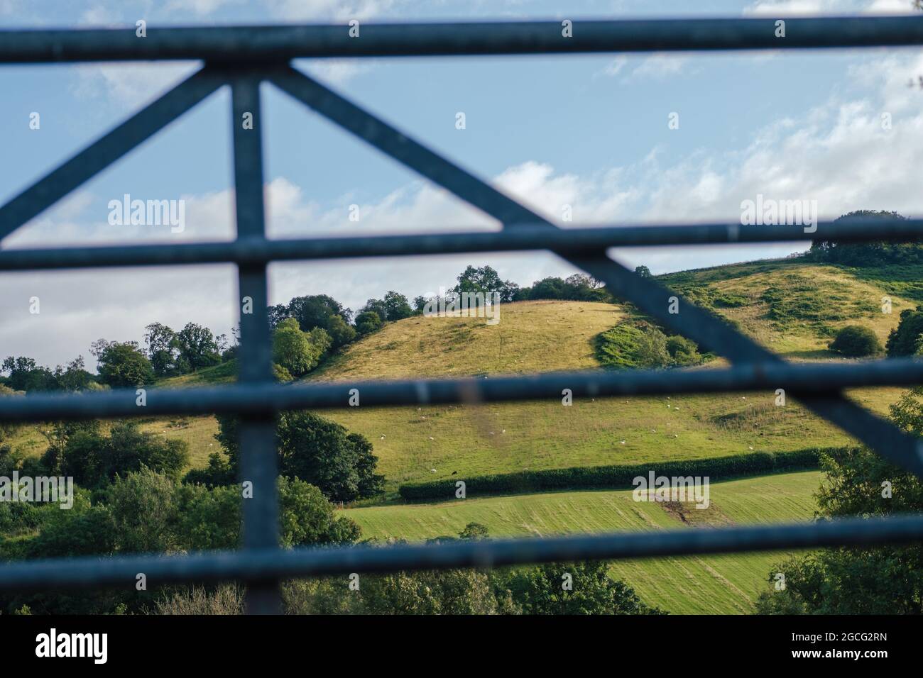 A countryside scene, framed by a farm gate Stock Photo