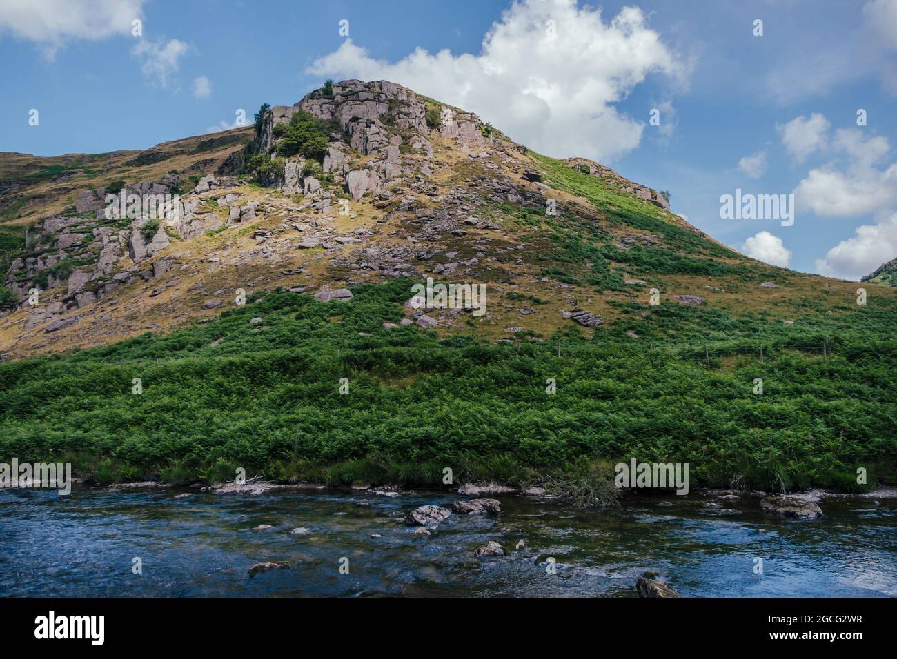RSPB Gwenffrwd Dinas, South Wales Stock Photo