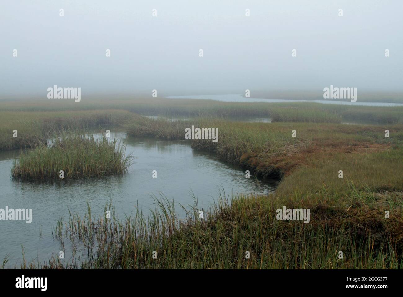 Grays beach hires stock photography and images Alamy