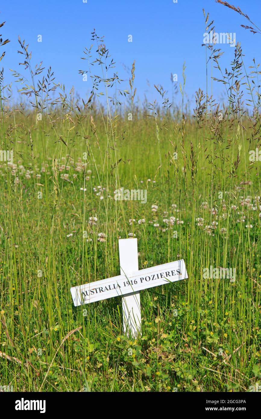 Commemorative cross for one of the many animals that died during the First World War at the WWI Animal War Memorial in Pozieres (Somme), France Stock Photo