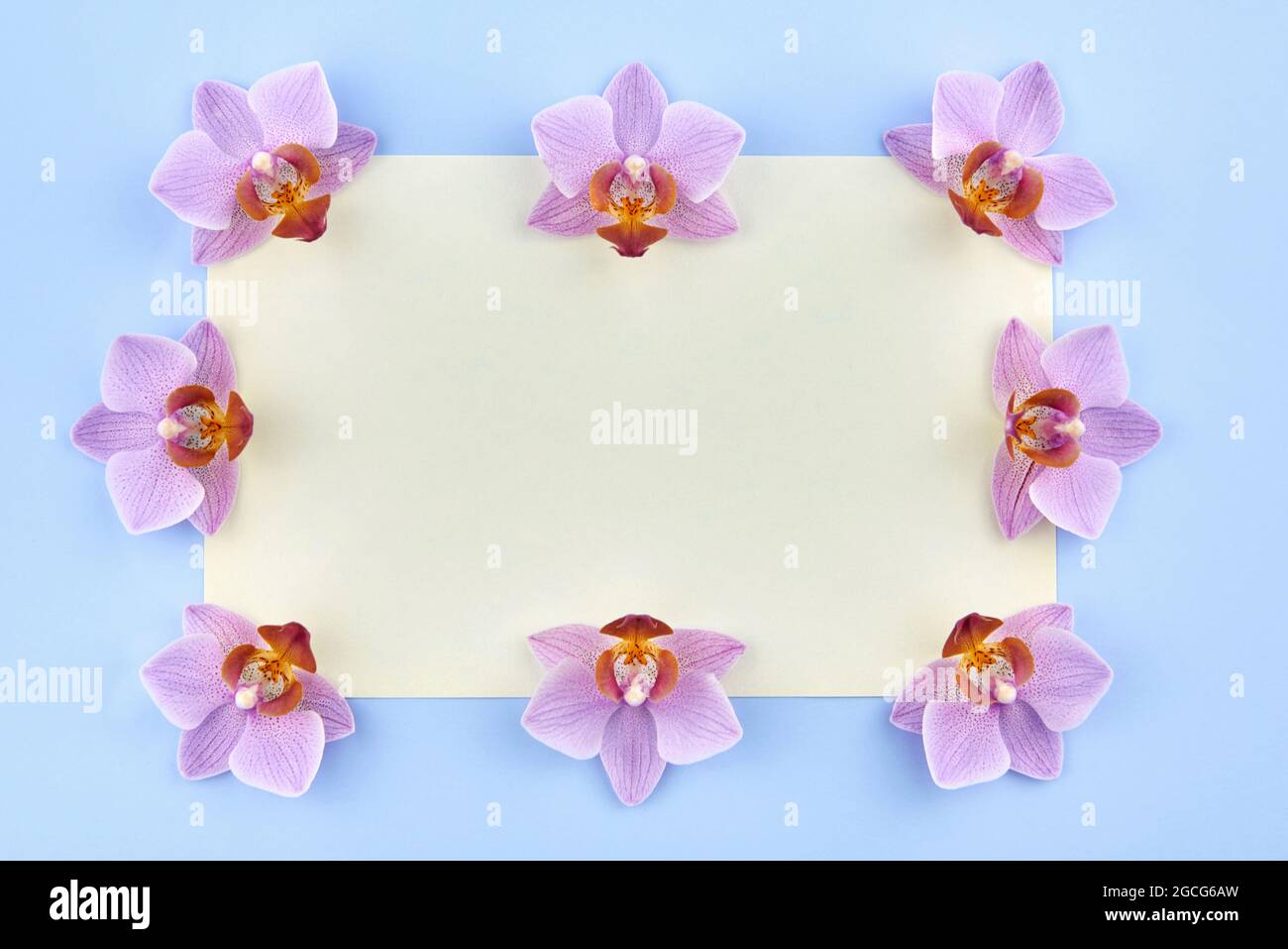 Blank paper with orchids on a blue background, copy space. Stock Photo