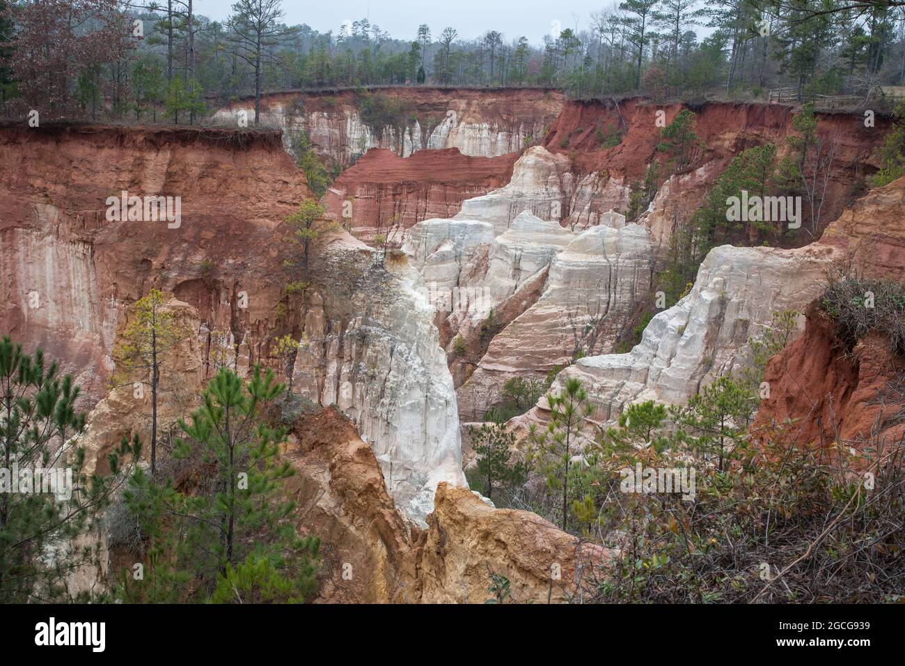 Poor farming practices in the 1800's caused the erosion at Providence Canyon, Georgia (U.S. state). Stock Photo