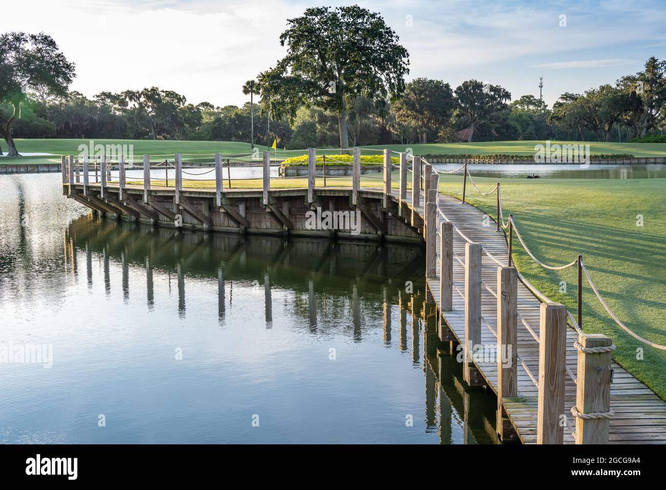 Sawgrass hi-res stock photography and images - Alamy