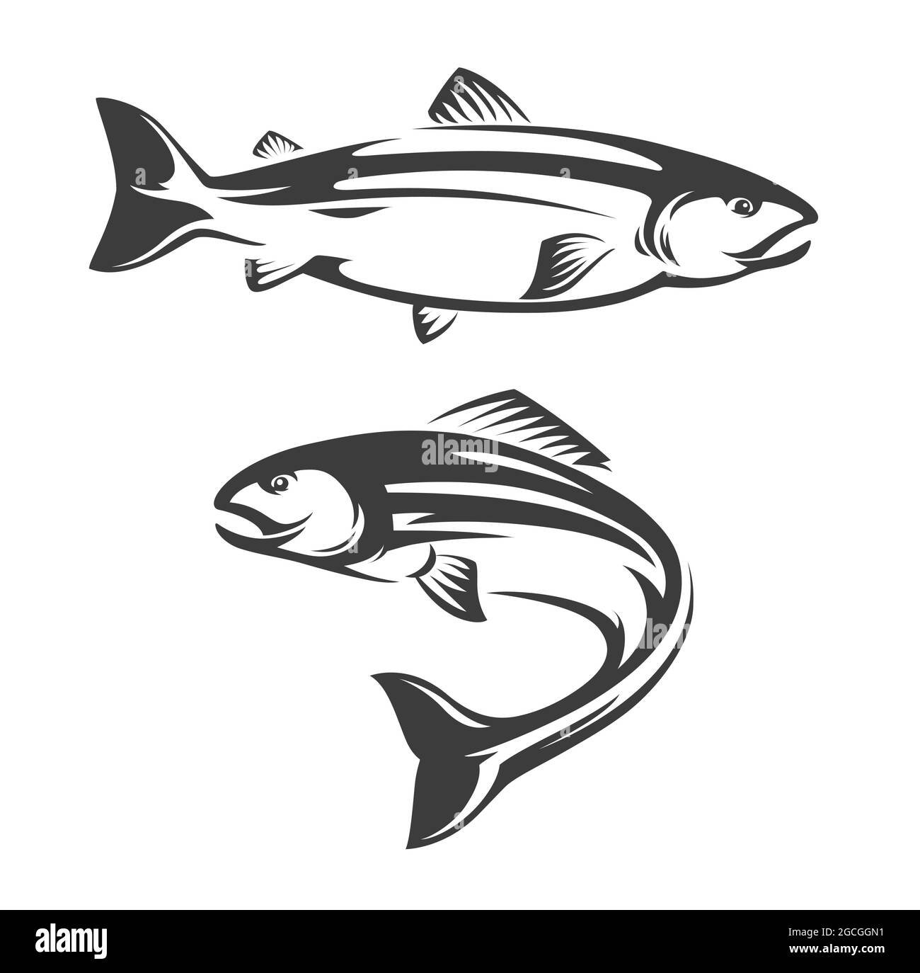 Salmon fish icon of seafood or sea fishing sport vector design. Atlantic, coho, chum or chinook, sockeye or pink salmon swimming and jumping, ocean an Stock Vector