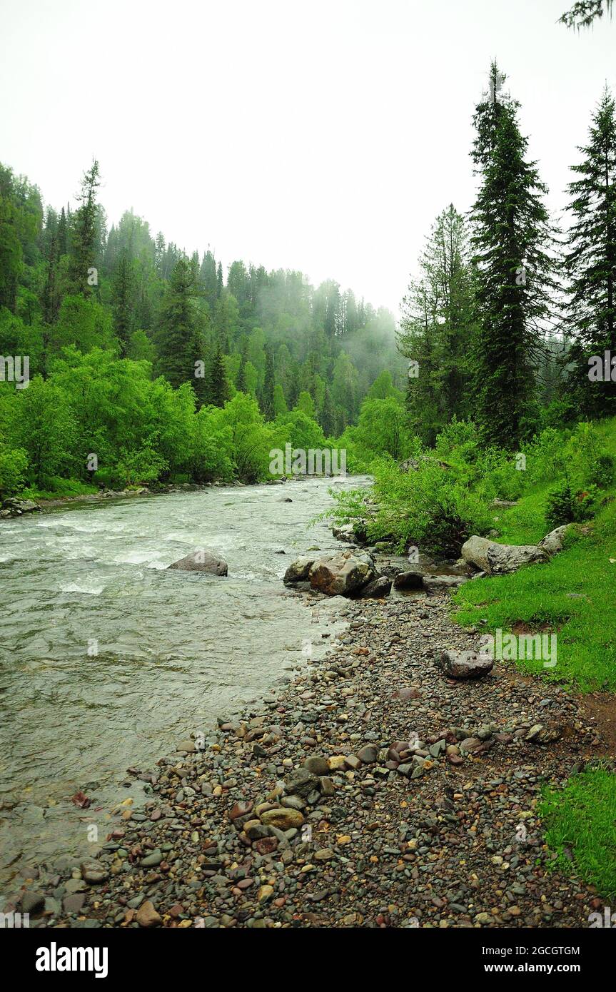 The rocky bank of a beautiful mountain river flowing through the summer ...