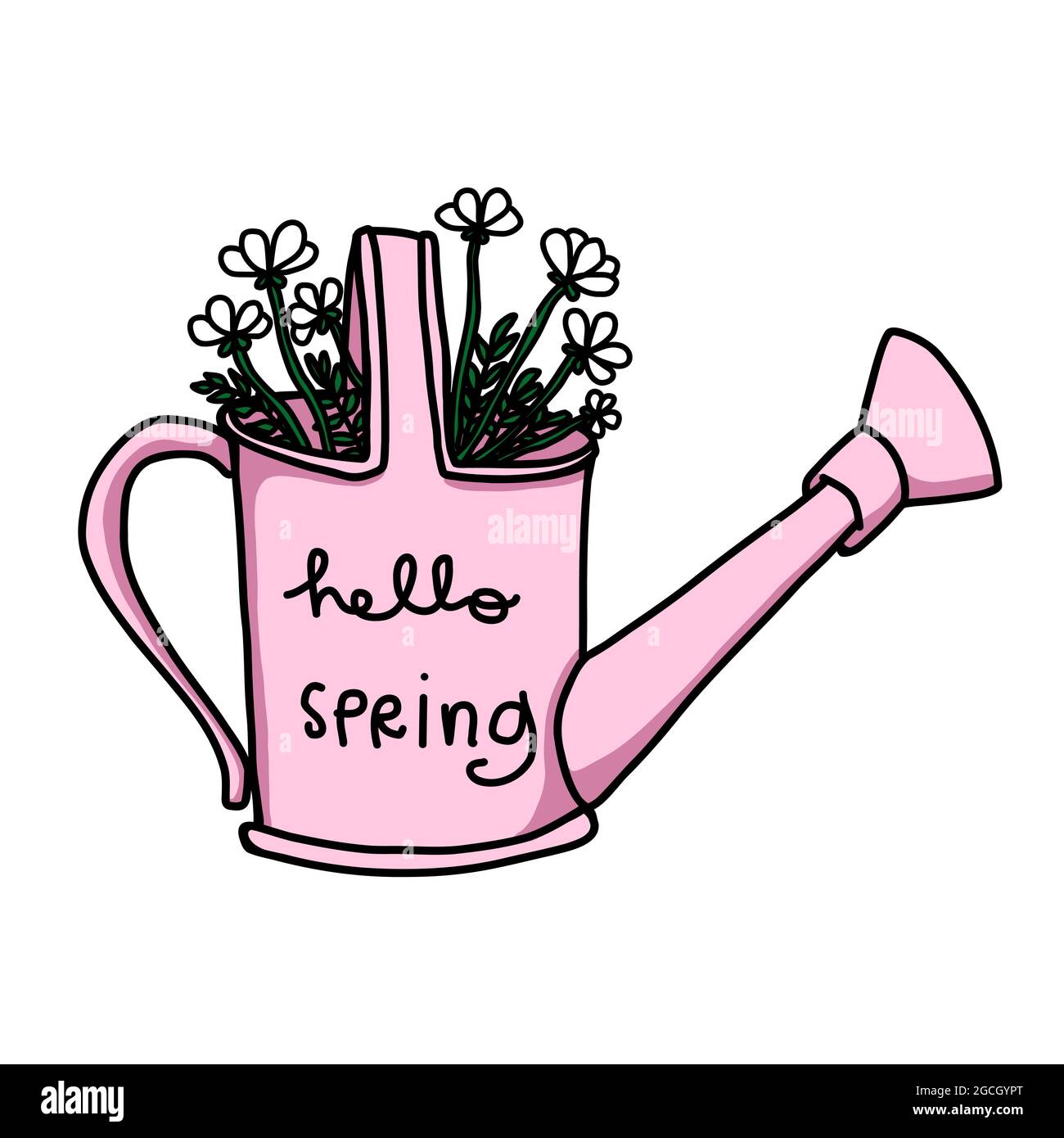 Daisy flowers in water can, hello spring cartoon vector illustration