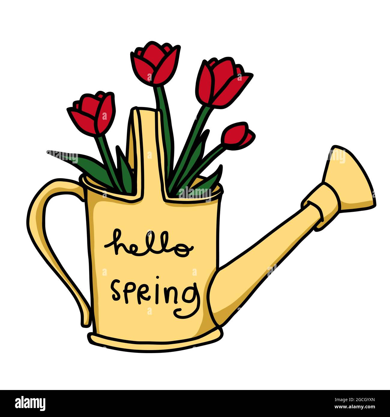 Tulip flowers in water can, hello spring cartoon vector illustration Stock Vector