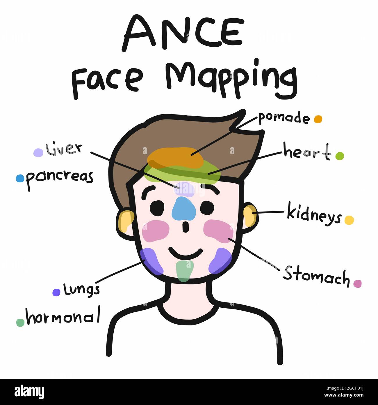 Face Mapping For Acne Cute Man Cartoon Face Vector Illustration Stock Vector Image And Art Alamy 