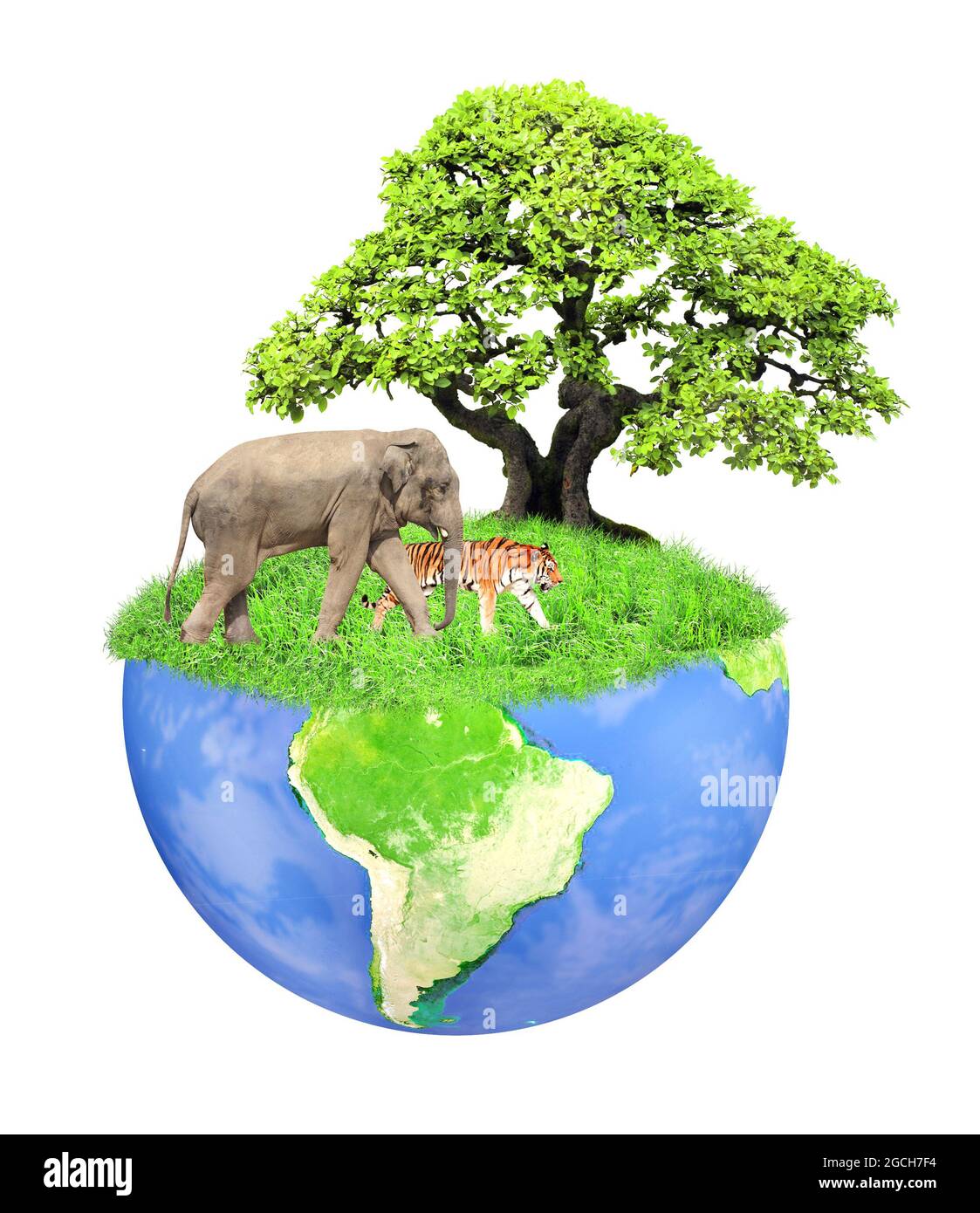 Eco, Conserve wildlife and Nature reserve concept. Fantasy floating island with green grass, tree, wild animals. Isolated on white. 3d render. Elemen Stock Photo - Alamy Eco, Conserve wildlife and Nature reserve concept. Fantasy floating island with green grass, tree, wild animals. Isolated on white. 3d render. Elemen Stock Photo - Alamy