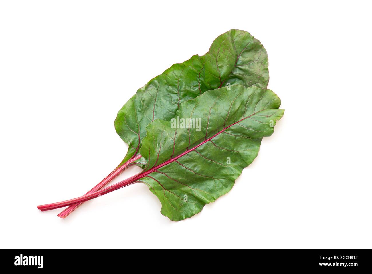 Beet leaves, beet foliage isolated on white. Top view Stock Photo Alamy