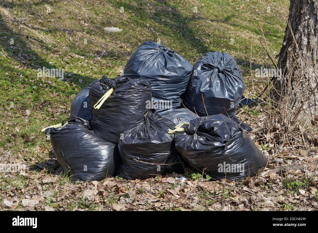 https://c8.alamy.com/comp/2GCH82W/the-big-black-plastic-bags-with-garbage-waste-in-forest-2GCH82W.jpg