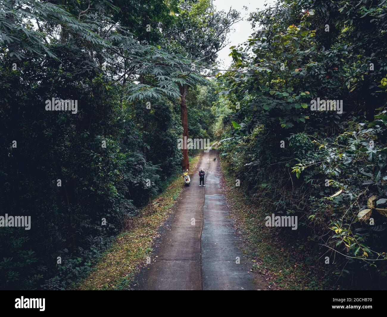 Country road in a valley in springtime Stock Photo - Alamy