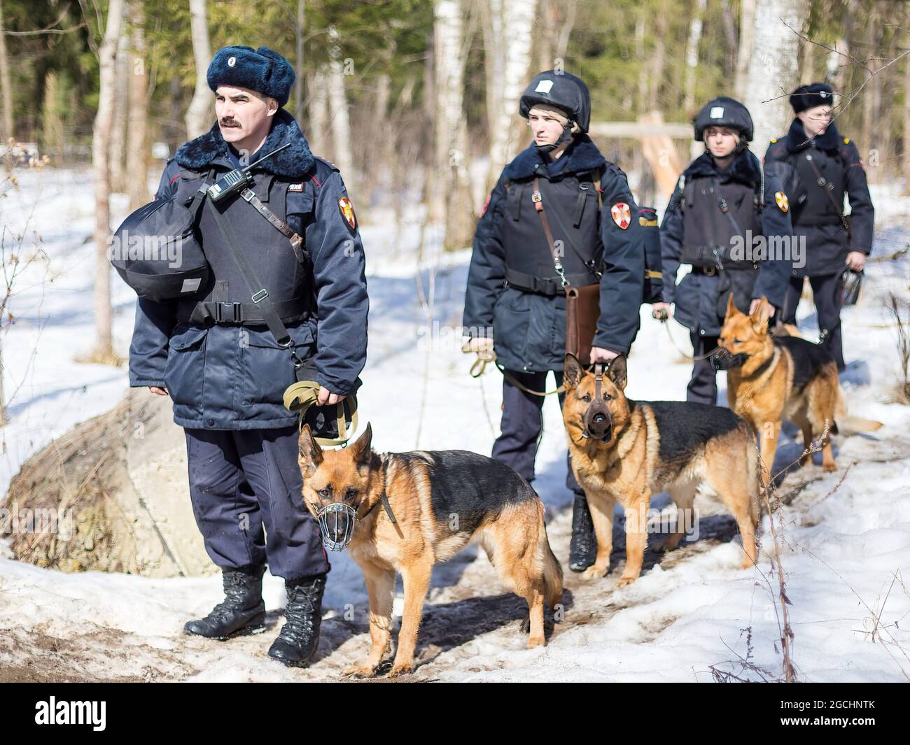 Elektrostal, Russia. 5th Apr, 2018. Military dog handlers seen during the military exercise.In Elektrostal, a practical lesson was held with servicemen and employees of special forces of the Central District of the Russian Guard. (Credit Image: © Mihail Tokmakov/SOPA Images via ZUMA Press Wire) Stock Photo