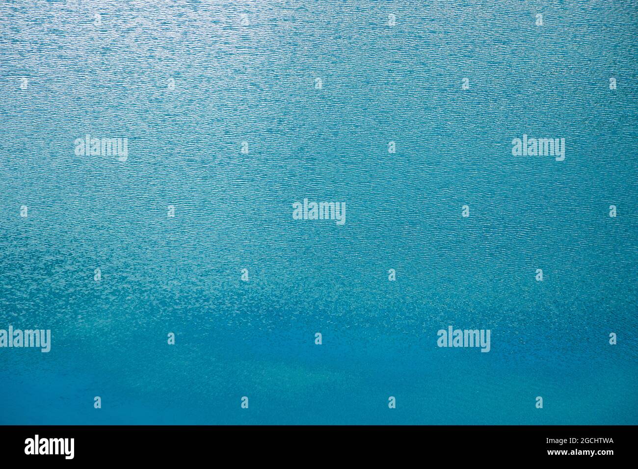 The surface is blue water with ripples from the light wind and ...