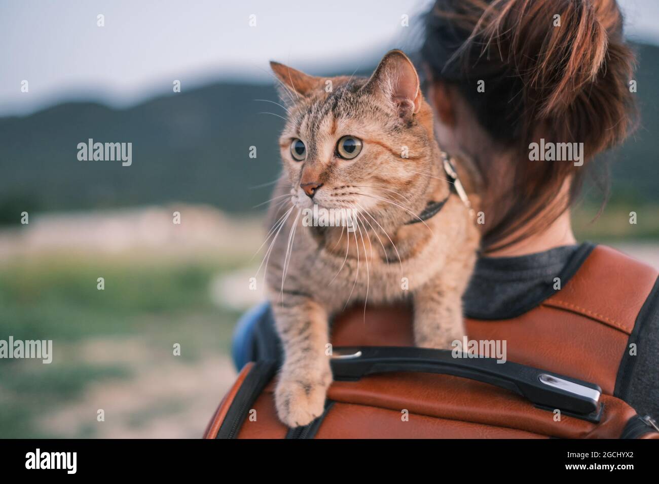Woman walking with cat on her shoulder in the park. Stock Photo