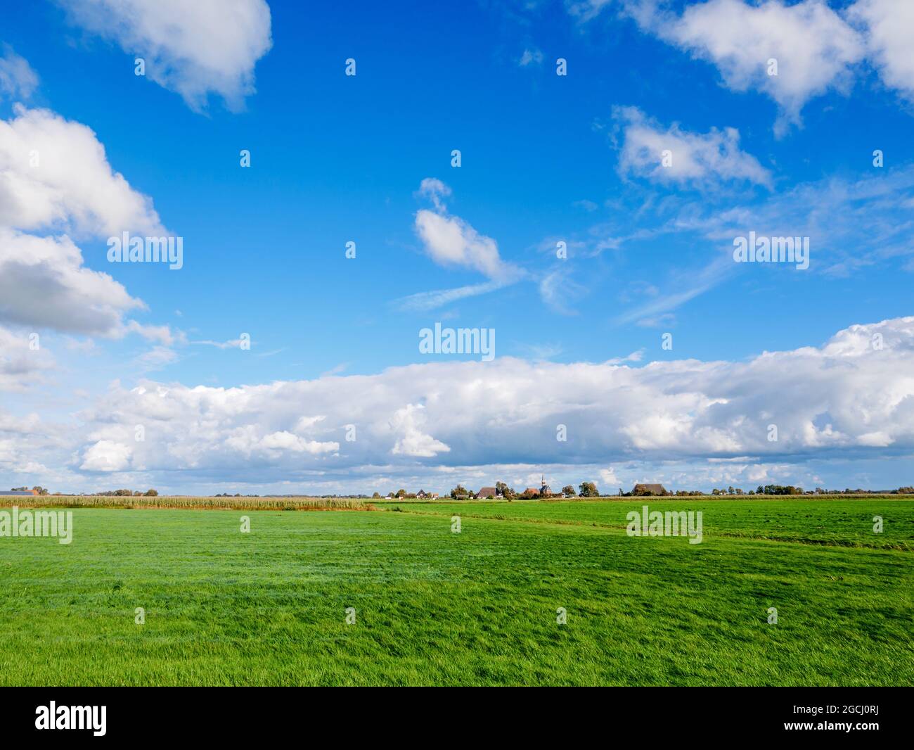 Panorama of polder with meadows, farmhouses and church of Cornjum, Friesland, Netherlands Stock Photo