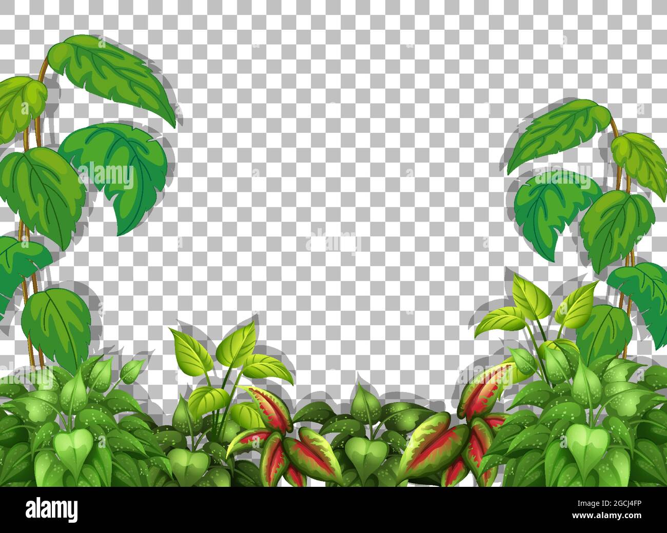Various tropical leaves on transparent background illustration Stock ...