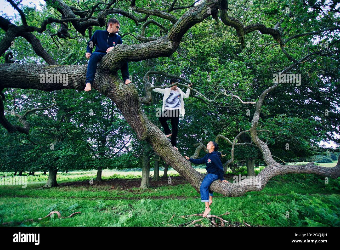 Group of young people in the park climbing a tree Stock Photo