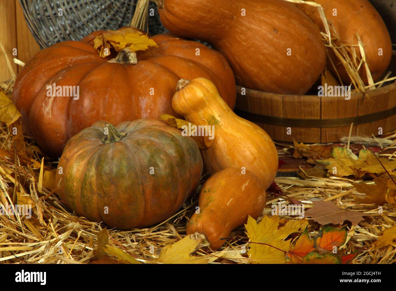 Pumpkins in wooden tub with wicker stand on straw close up Stock Photo ...