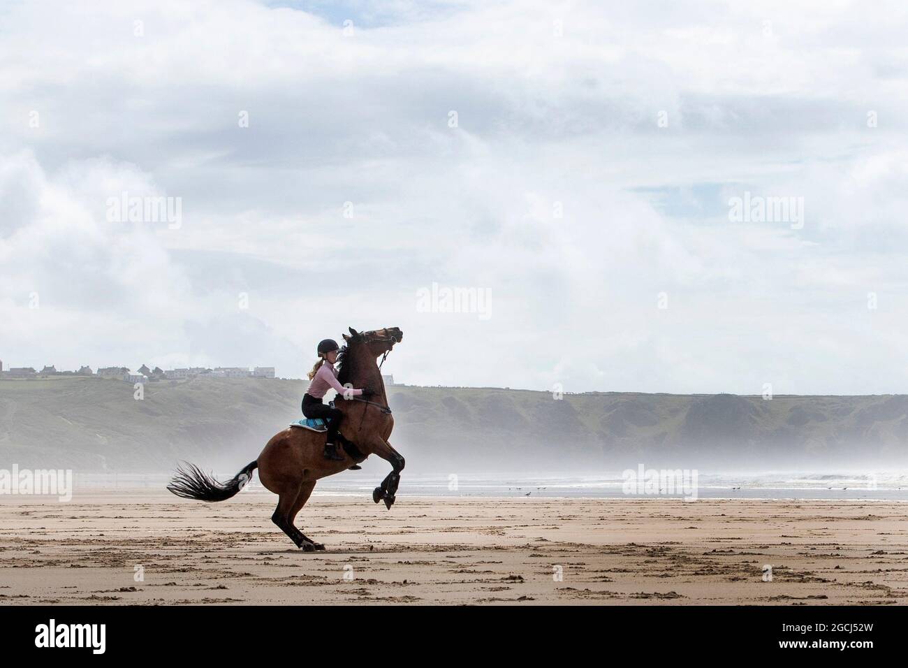 Women ride horse on Rhossilli Bay beach in West Wales, UK with the haze and  wind blowing Stock Photo - Alamy