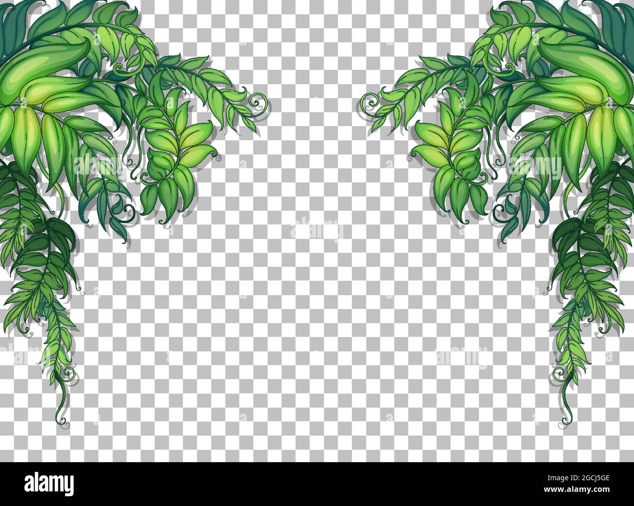 Various tropical leaves on transparent background illustration Stock ...