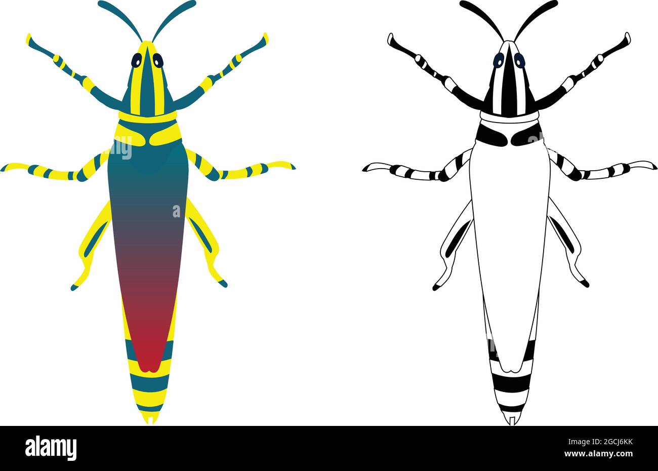 Grasshopper or Locust Vector Illustration Fill and Outline Isolated on White Background. Insects Bugs Worms Pest and Flies.Entomology or Pest Control Stock Vector