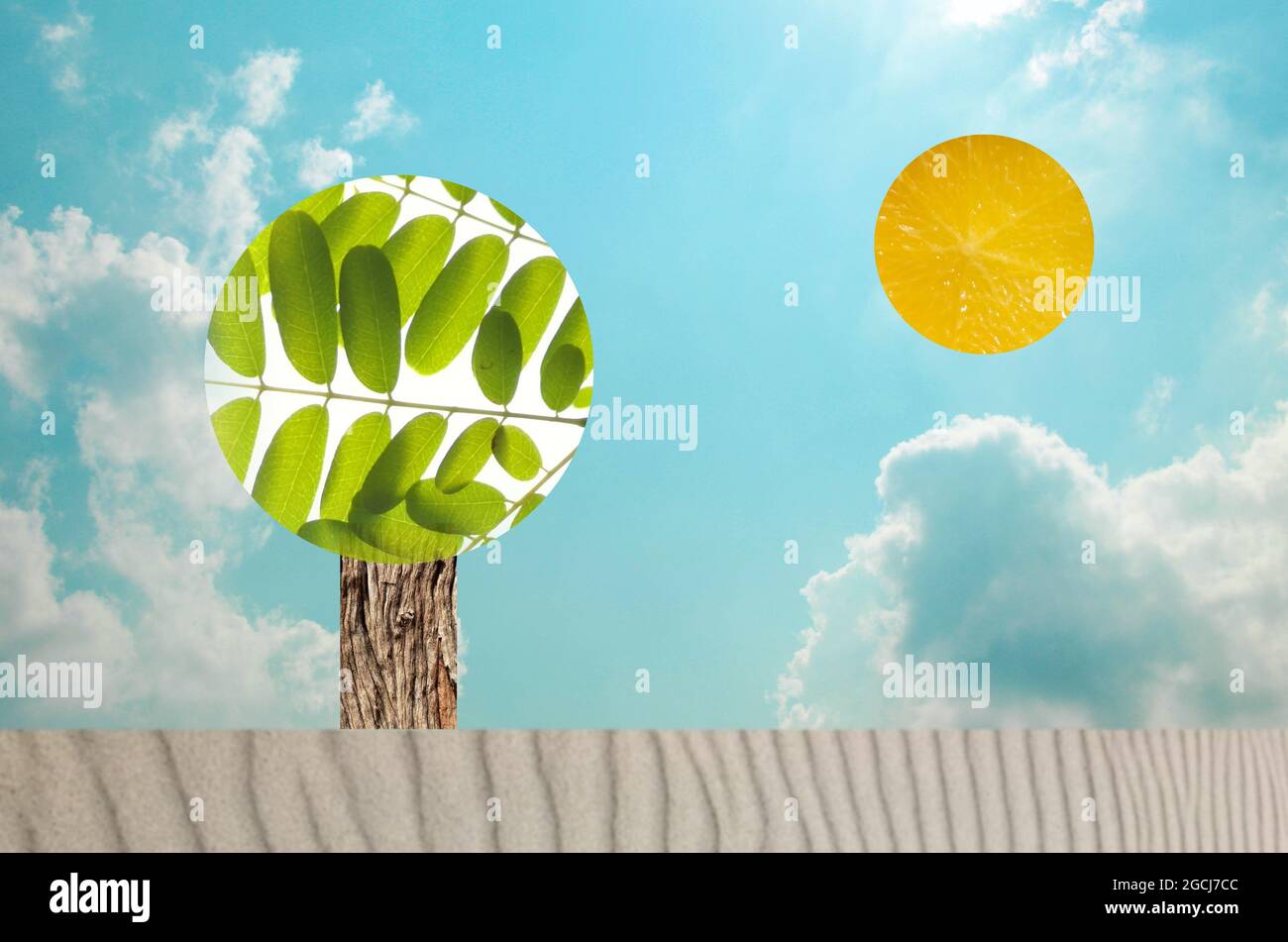 Beautiful and simple landscape, ecology concept Stock Photo