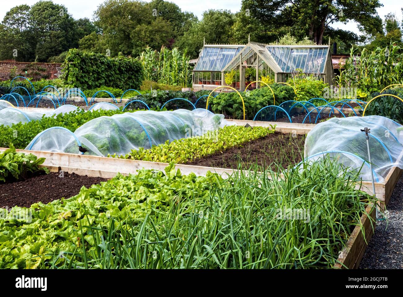 Vegetable garden local hires stock photography and images Alamy