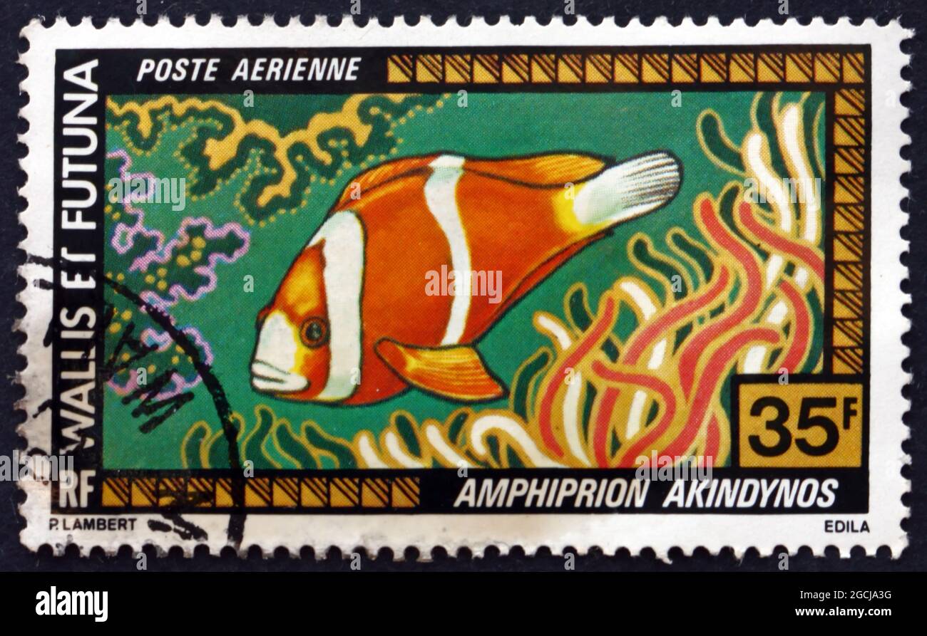 WALLIS AND FUTUNA ISLANDS - CIRCA 1978: a stamp printed in Wallis and Futuna shows the Barrier Reef anemone fish, amphiprion akindynos, fish,circa 197 Stock Photo