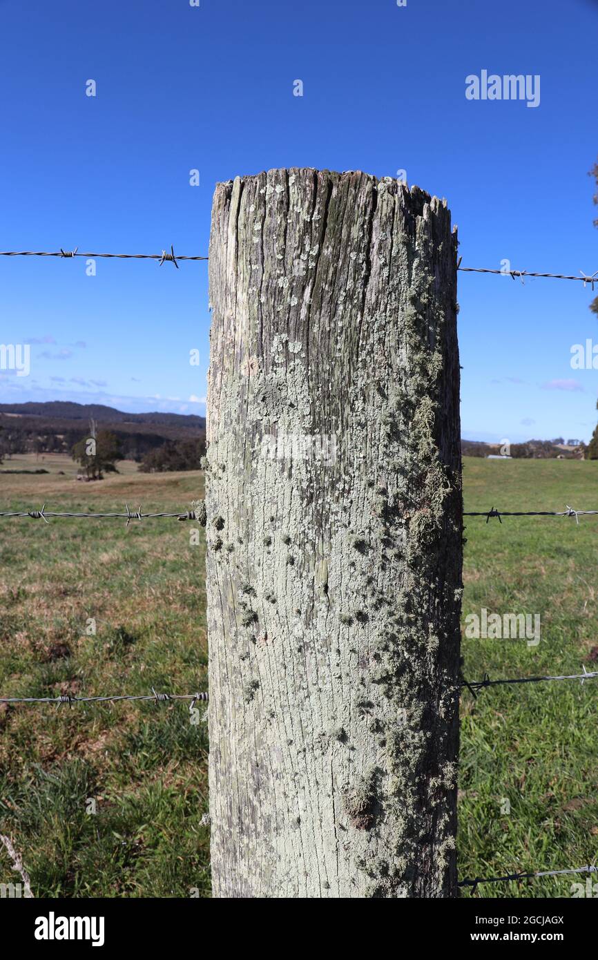 Close-up shot of a wooden fence in Southern Highlands, Australia Stock ...