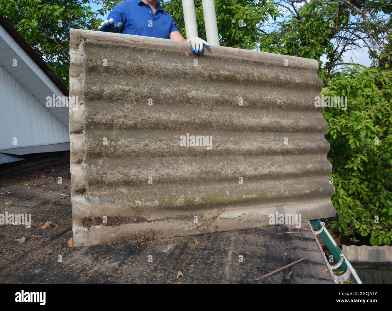 Removing and replacing asbestos cement roof. A building contractor is removing dangerous for health an old corrugated asbestos roof tile. Stock Photo
