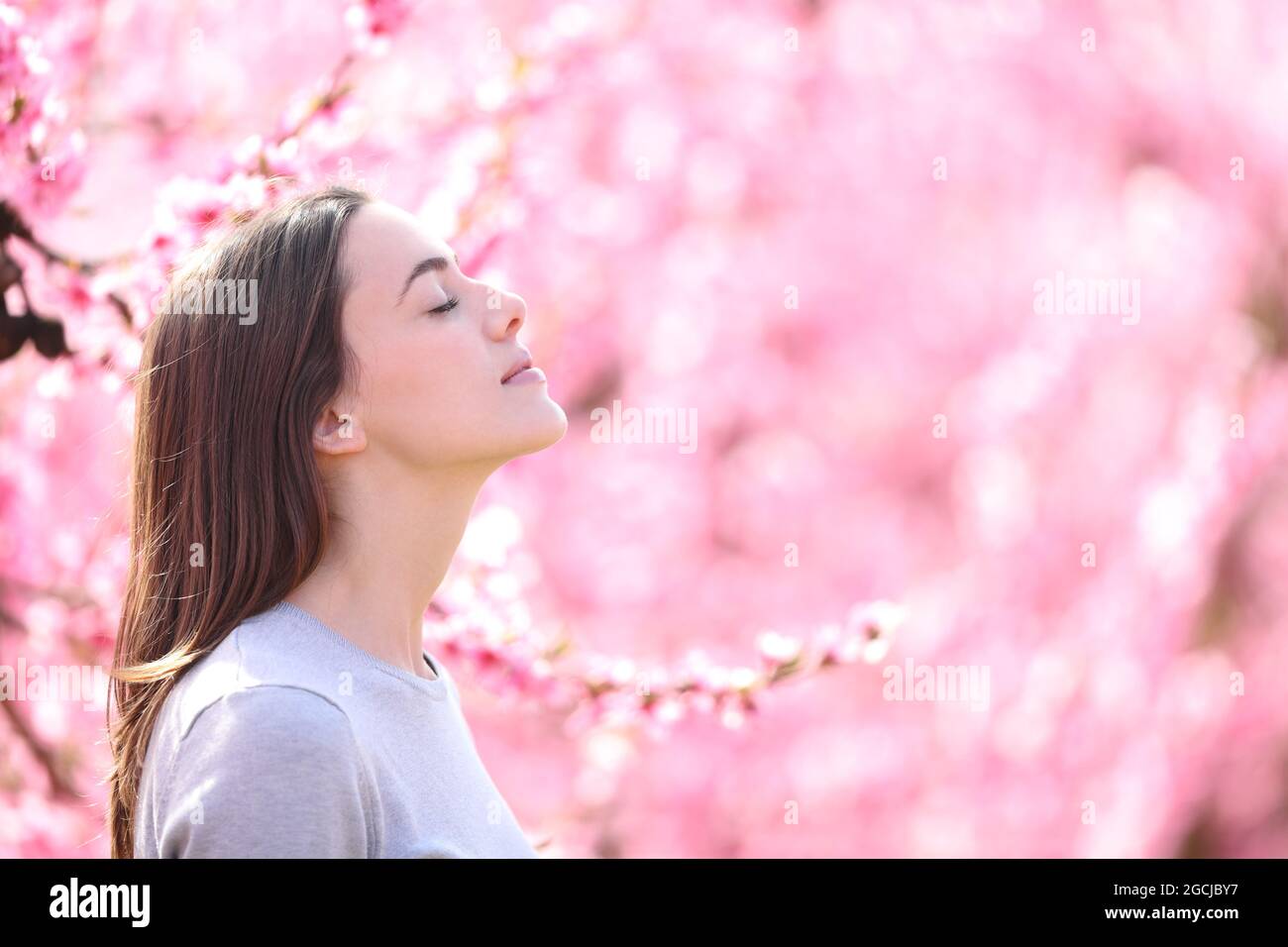 Side view portrait of a woman breathing and smelling scented flowers in a pink field Stock Photo