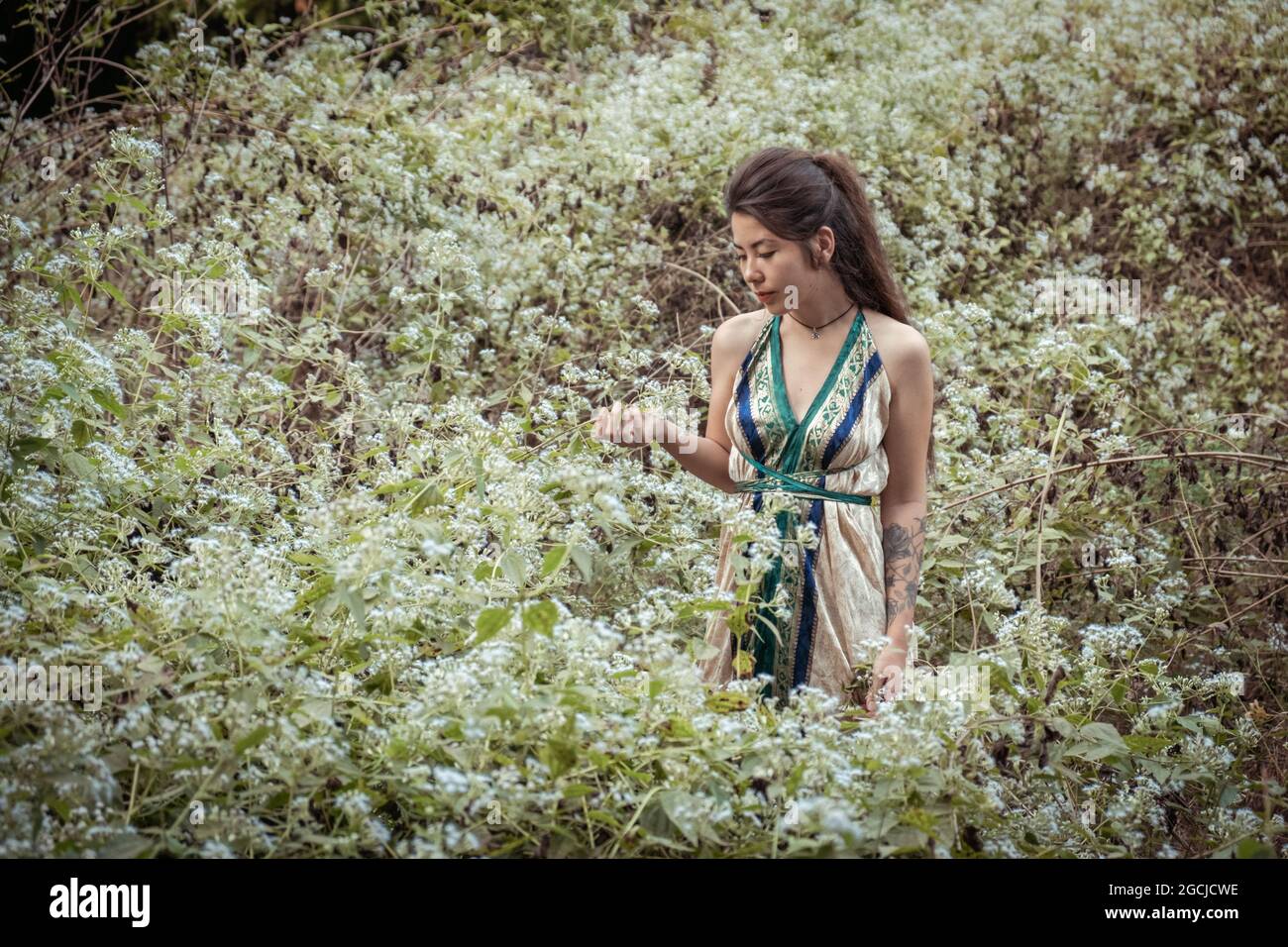 Beautiful Asian woman in summer dress walks in a flower field Stock Photo