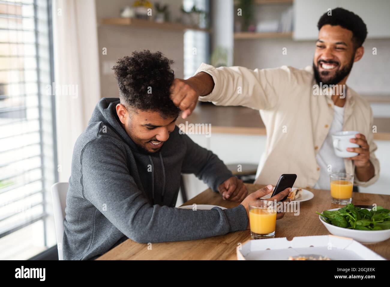Portrait of young adult brothers in kitchen indoors at home, having fun