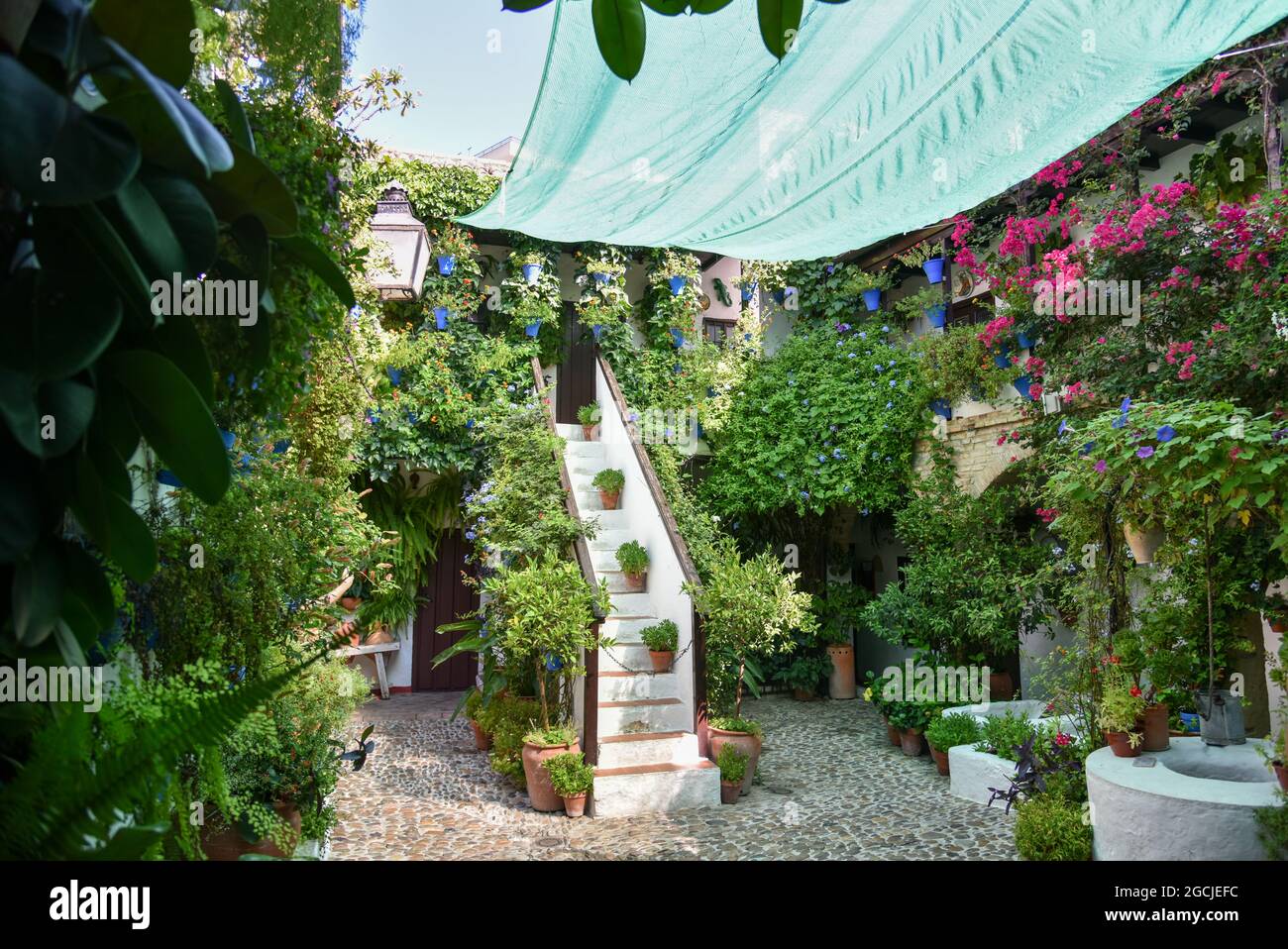 córdoba andalucia españa los patios verde con su macetas 2021 Stock Photo