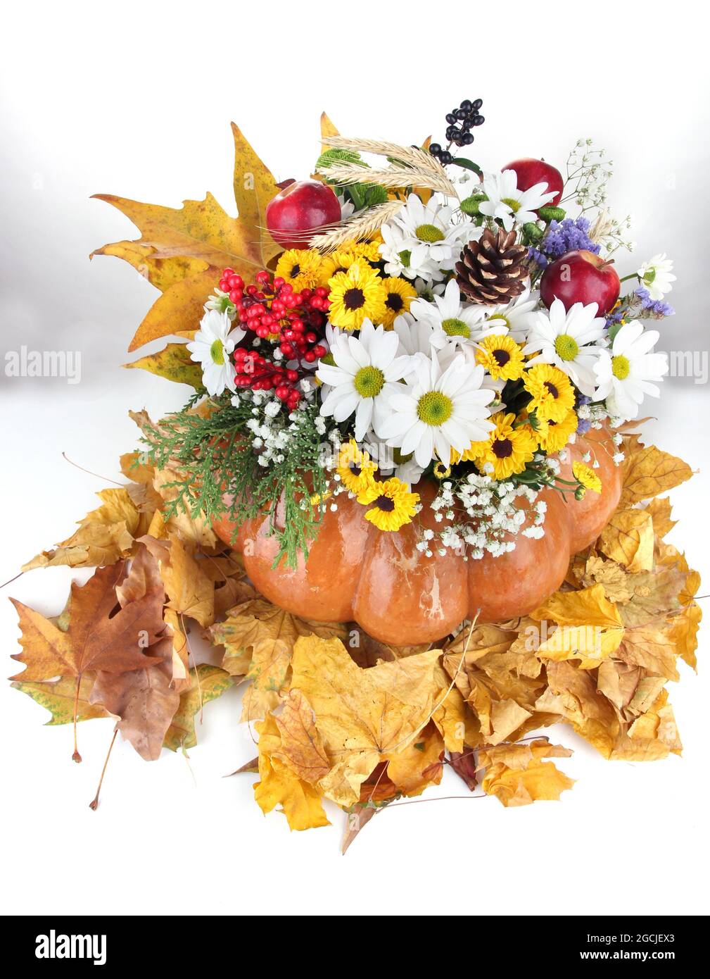 Beautiful autumn composition in pumpkin with yellow leaves isolated on ...