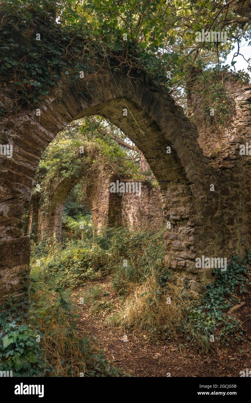 On the North West edge of Conygar Hill near Dunster lies a 18th Century folly called The Gatehouse. It comprises  of a curtain wall, two arches and tw Stock Photo