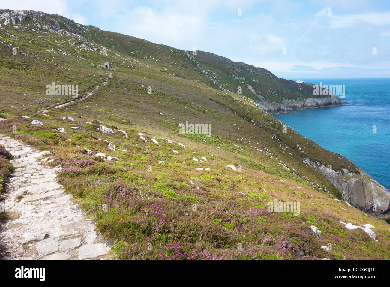 Anglesey Coastal Path & rocky coast walk from Breakwater Country Park on Holy Island Holyhead Wales Stock Photo