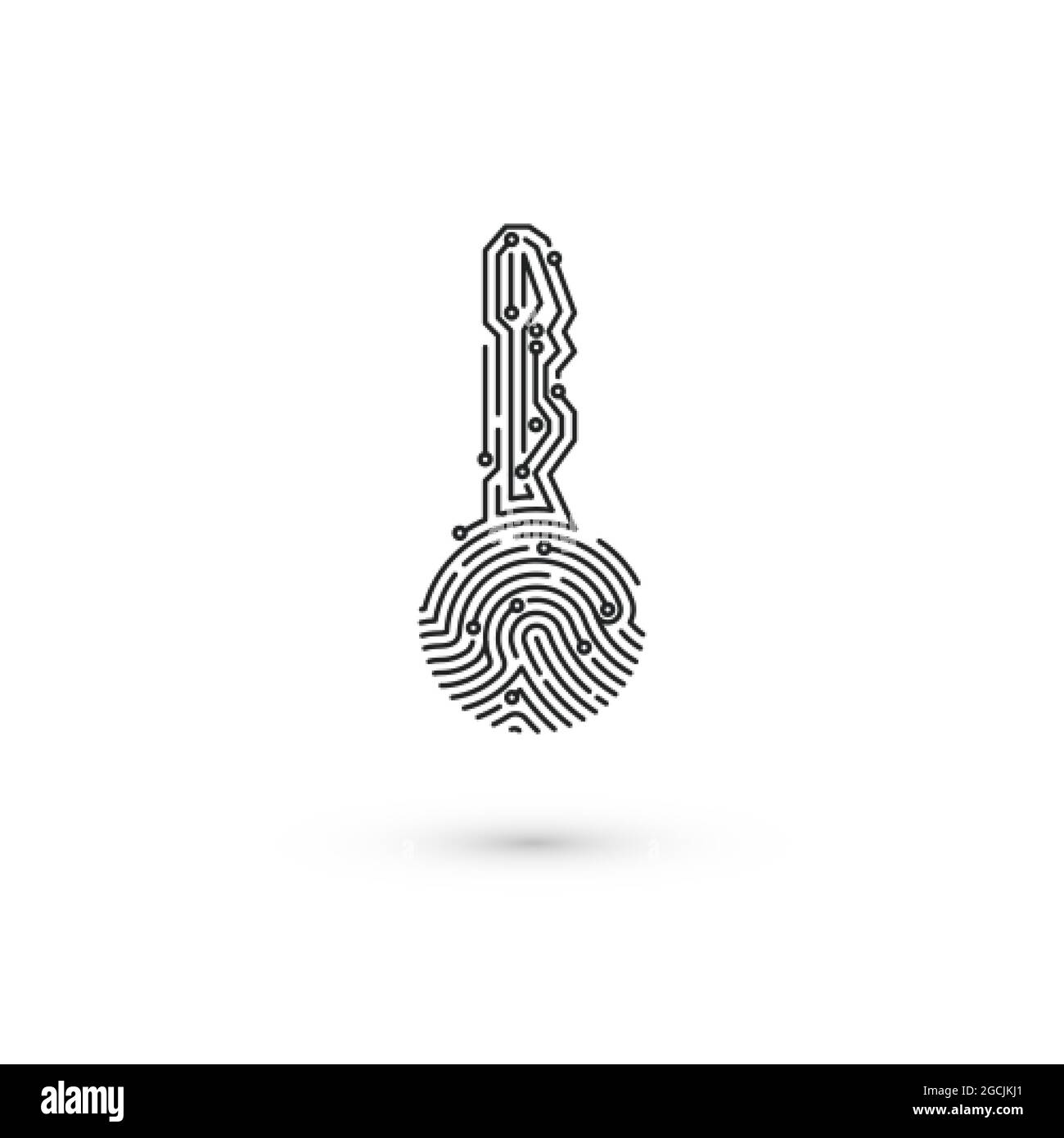 Circuit fingerprint key. Biometric ID for software login. Security