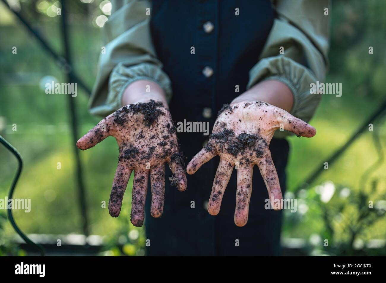 Unrecognizable small girl showing dirty hands, gardening concept. Stock Photo