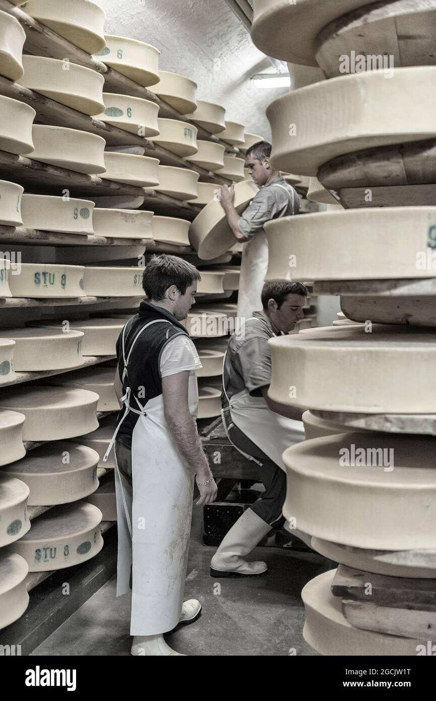 Cheesemakers manually turning the Beaufort Cheese wheel in the ripening cellars at the Beaufortain Cooperative Dairy in Beaufort. Savoie, France Stock Photo